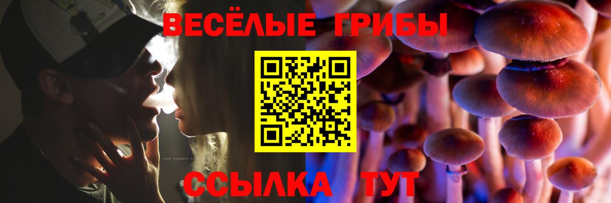 Галлюциногенные грибы Psilocybine cubensis  Псилоцибиновые грибы Psilocybe  Кизилюрт  Вход с VPN 